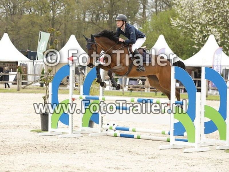 Perdita profile photo 