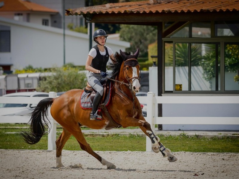 Flashlight De Frene profile photo