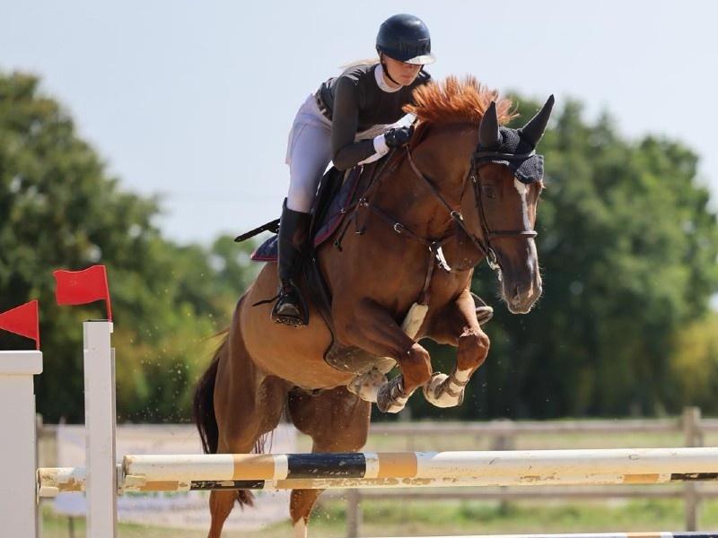 Golden Miller Z profile photo