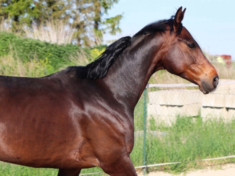 Regina Regenbogen profile photo 