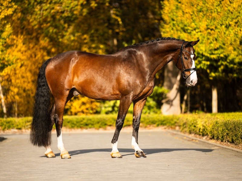 Hip Hip Hooray PR profile photo