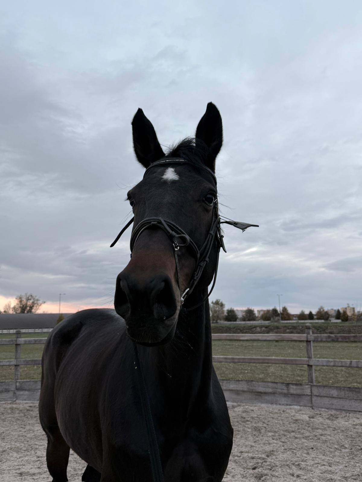 Khianula N-G profile photo 