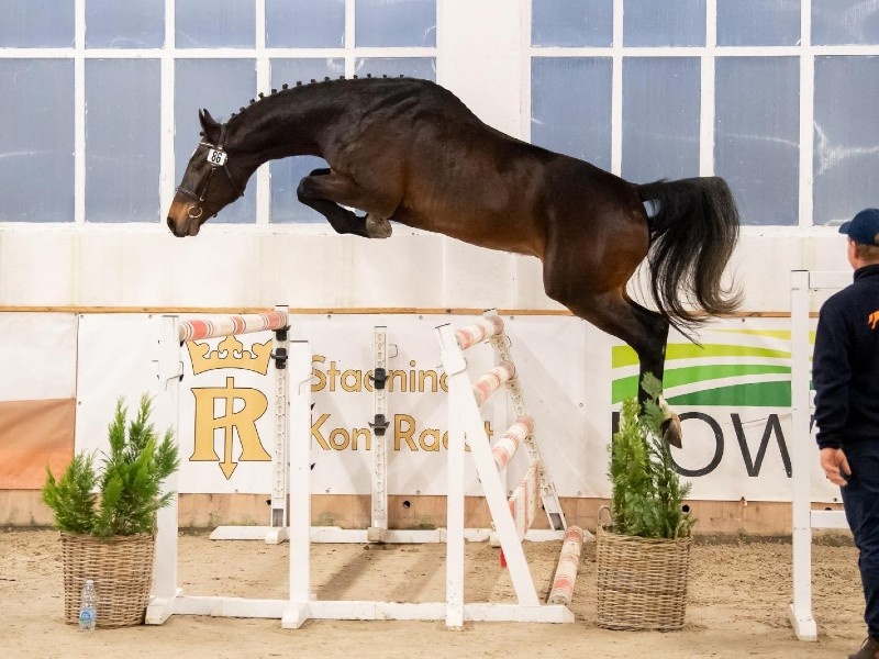 Umberto Levante profile photo 