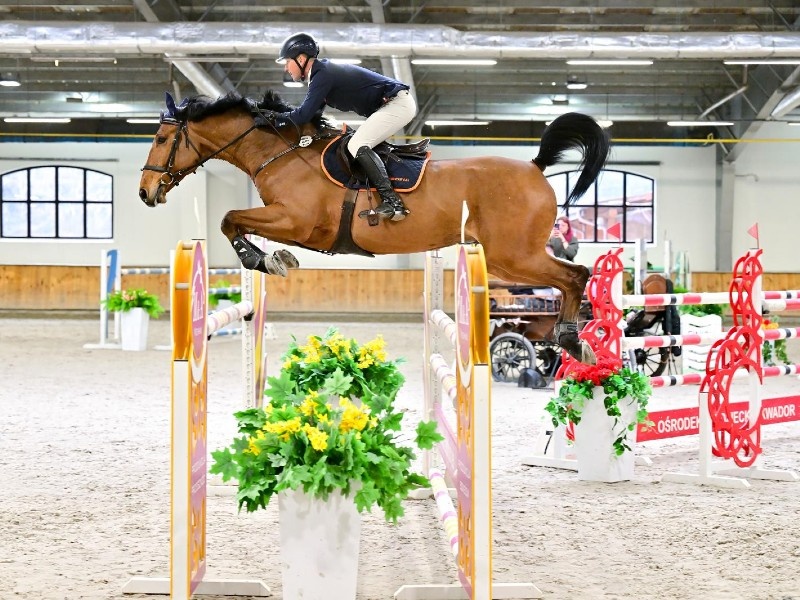 Rolex Van De Noordheuvel profile photo