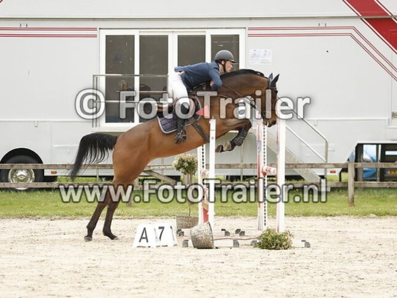 Perdita profile photo 