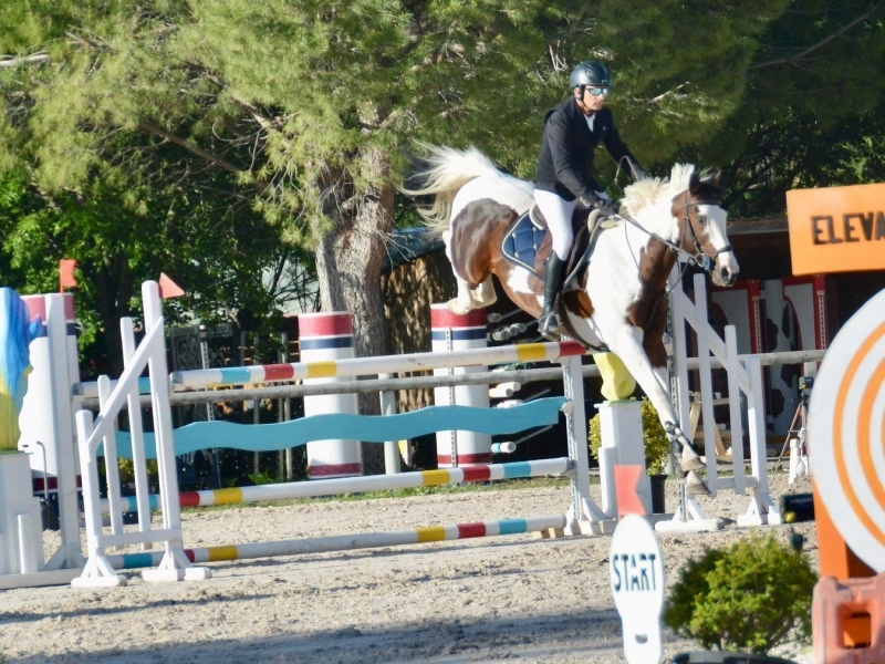 Imperial d’Aurice profile photo 