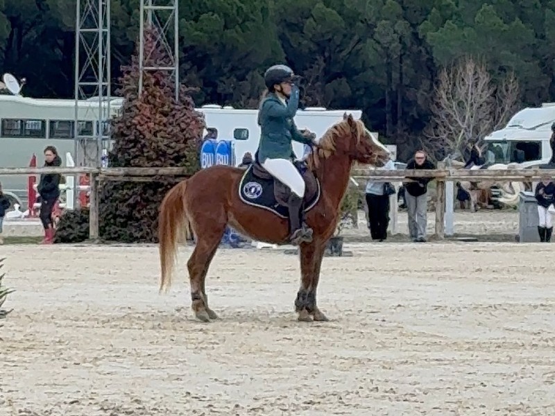 I Dream D'equitrot profile photo