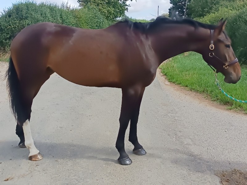 Chaccoro profile photo