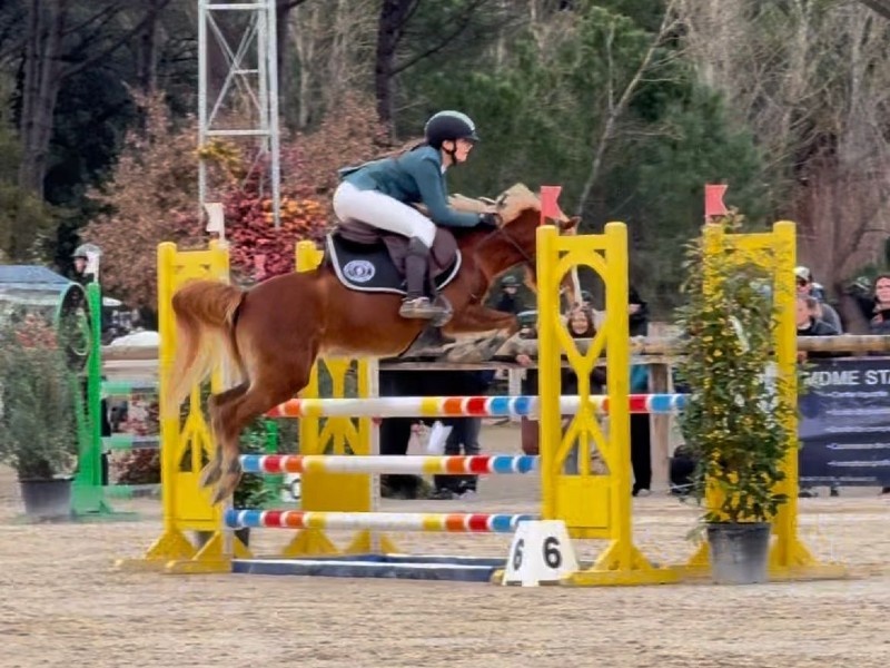 I Dream D'equitrot profile photo 