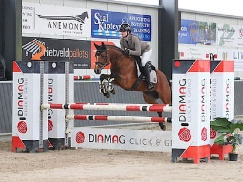 Ocarina Van De Bekerheide profile photo