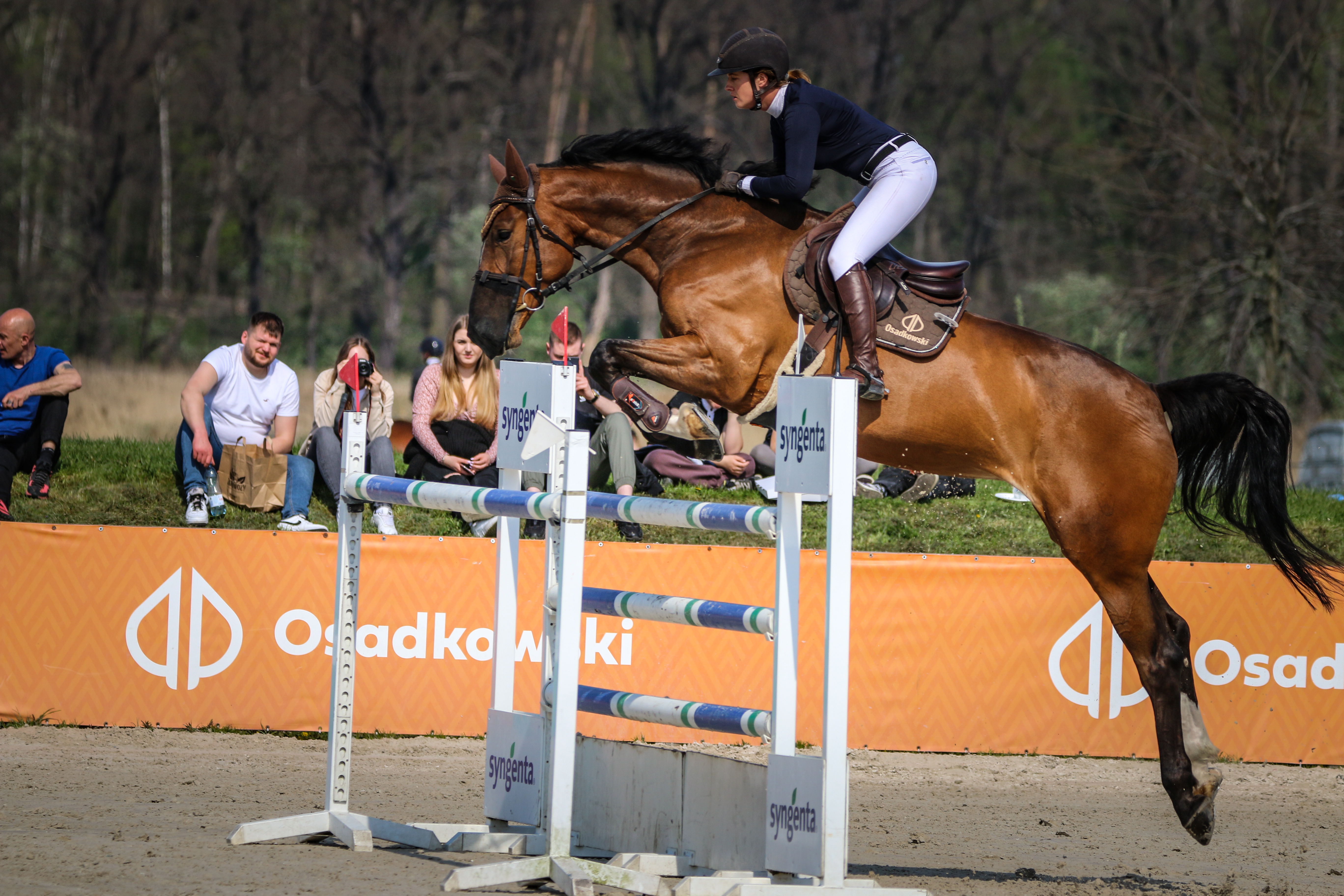 Westfalia L profile photo 