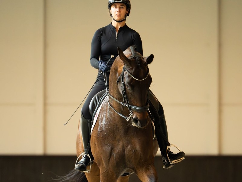 Fiandro profile photo