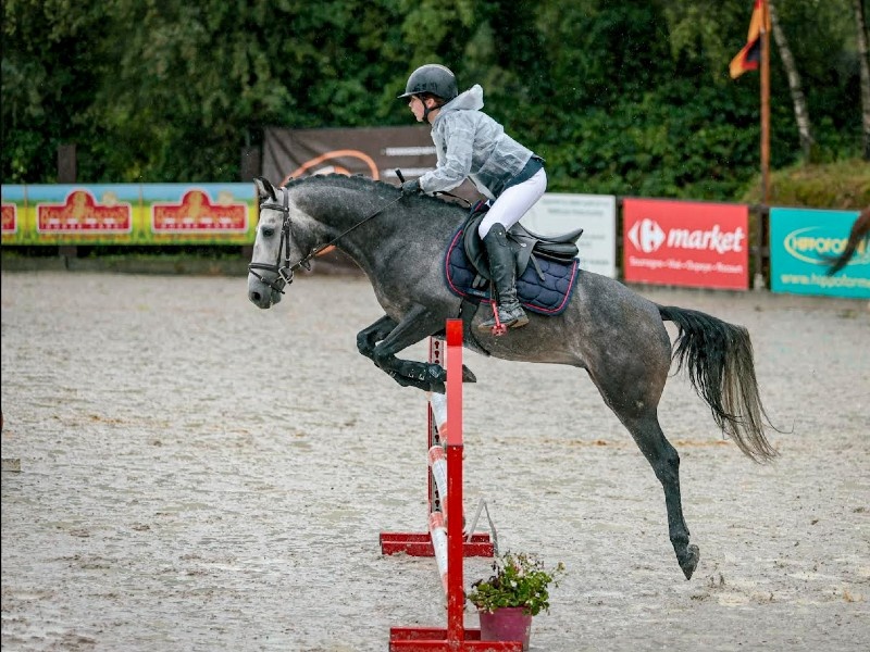 A - il est Beau de l’Otri profile photo 