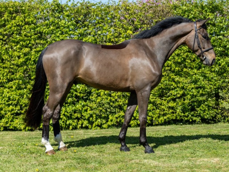 L'envi Du Viaduc profile photo