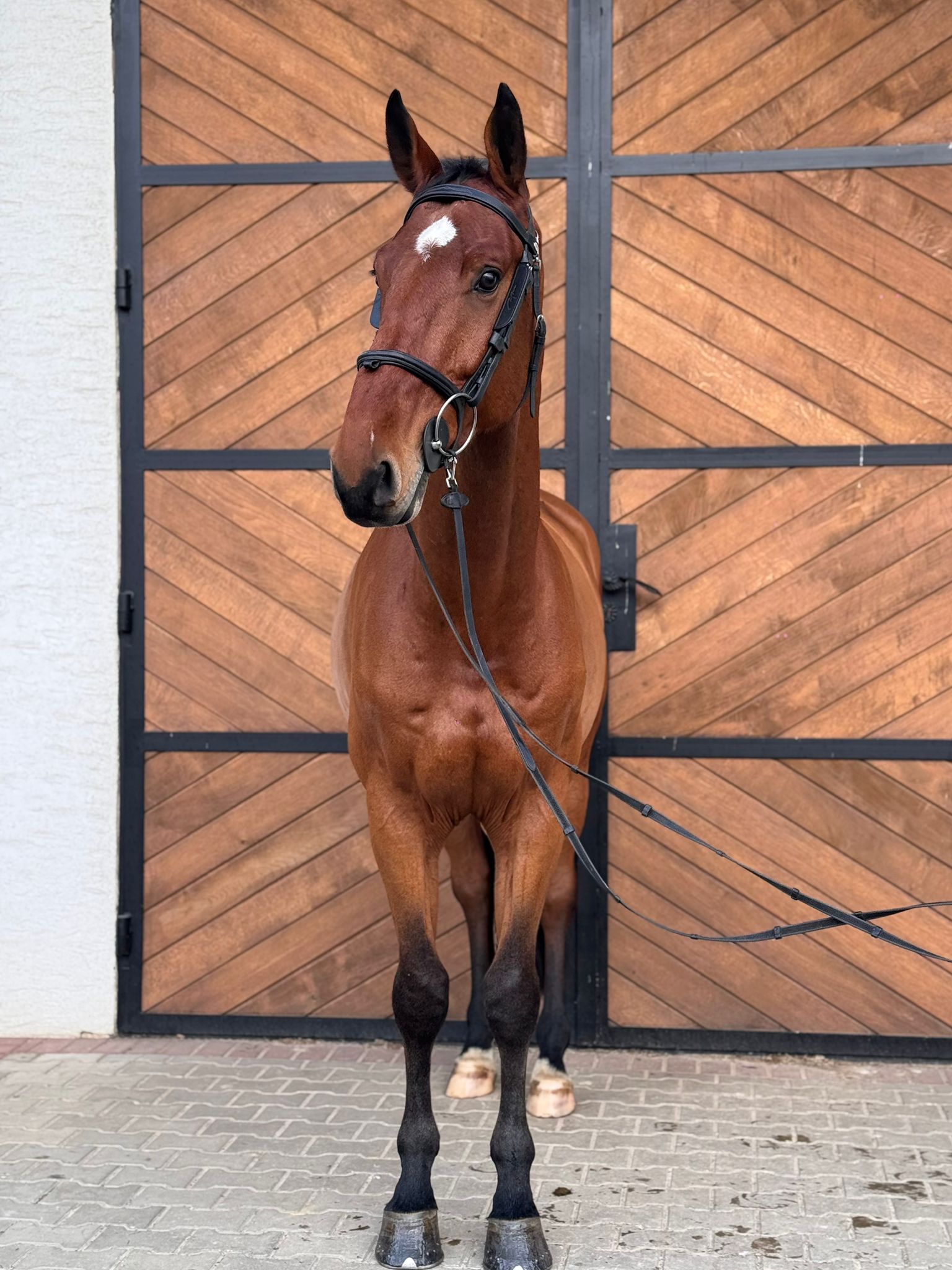 Colo Rado profile photo