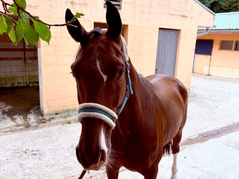 Coloreado profile photo 