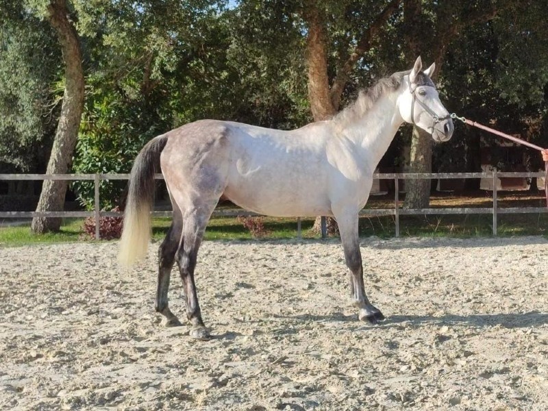 Ilandino H profile photo