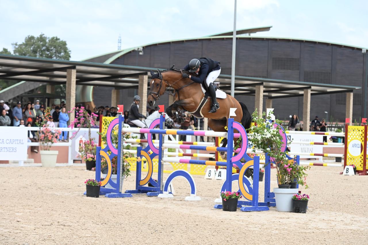 Catching Up With Mercurius: From Bridl Sale to 1.50m Grand Prix Success in Morocco case study image