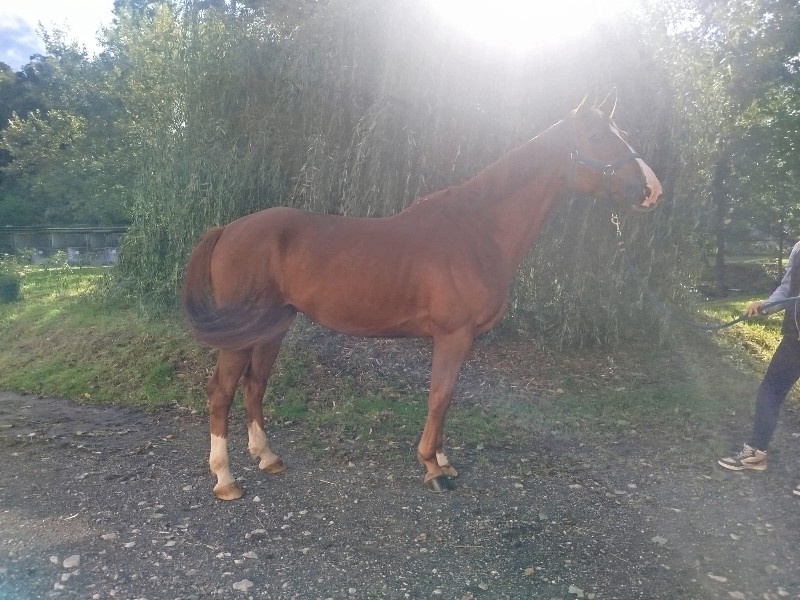 It's Me Vertefeuilles profile photo