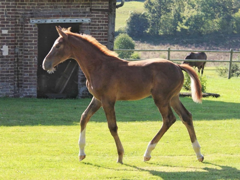 Patmos d'Enez profile photo