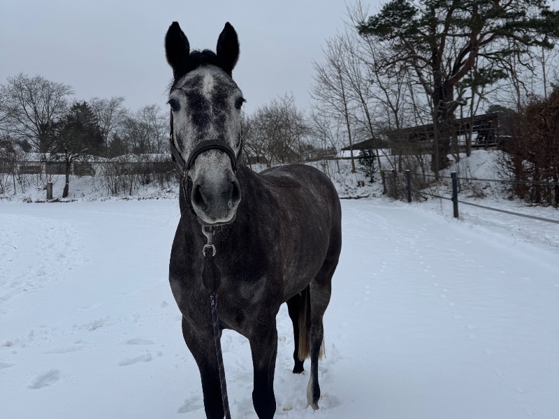 Chloe la belle profile photo 