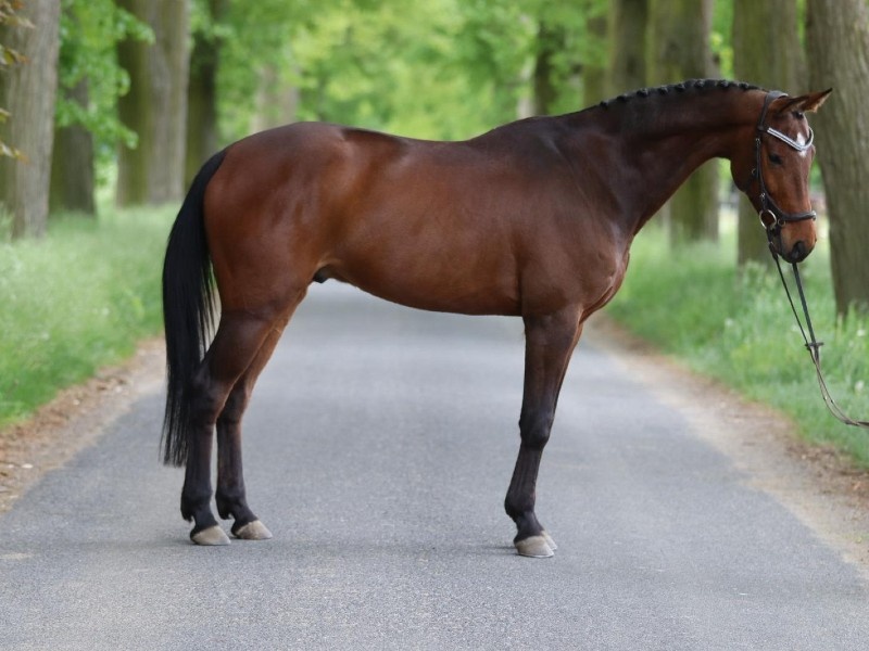 Oscar H profile photo