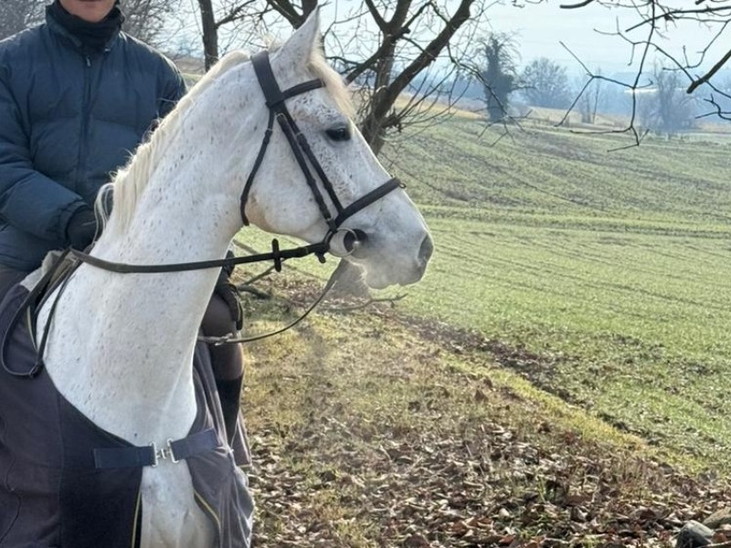 Chacdine PS profile photo