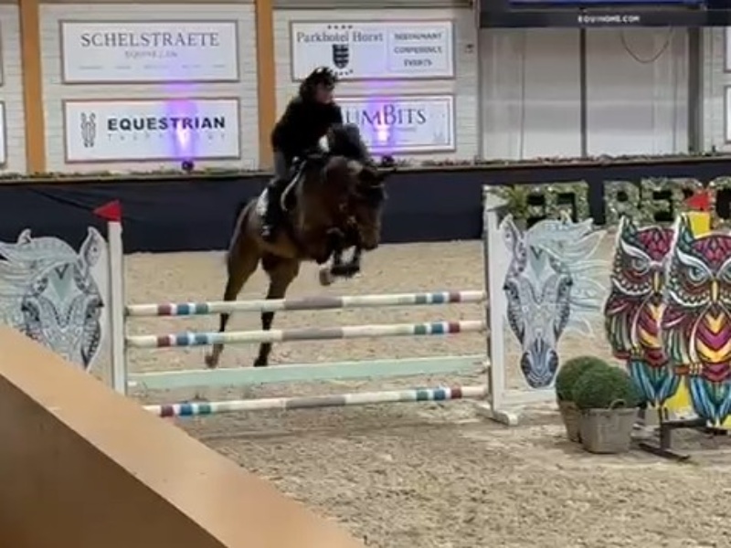 Pindasaus Horse thumbnail