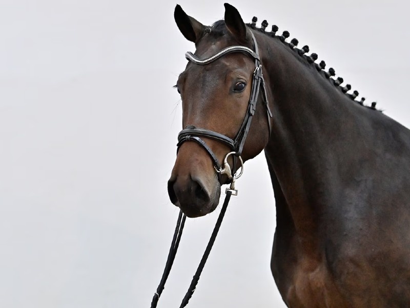 Contha Mia PS profile photo