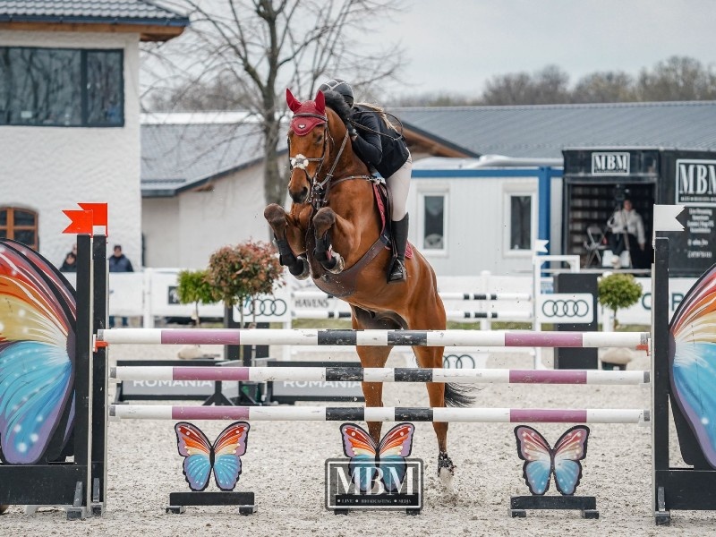 Quadir 7 profile photo 