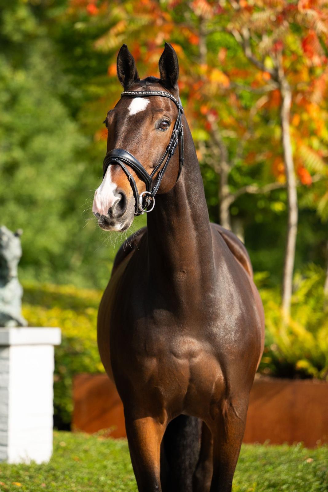 Hummer profile photo 