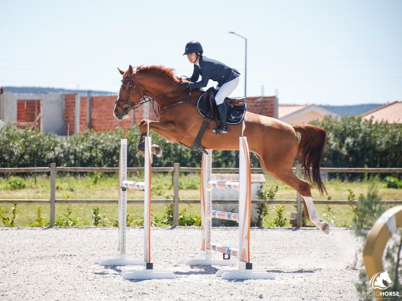 Sunset Gold 3 profile photo