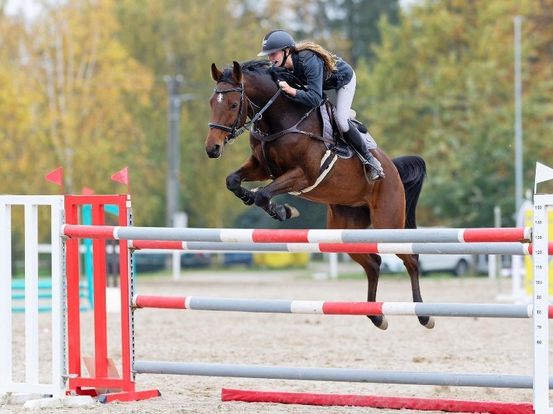 Oscar H profile photo 