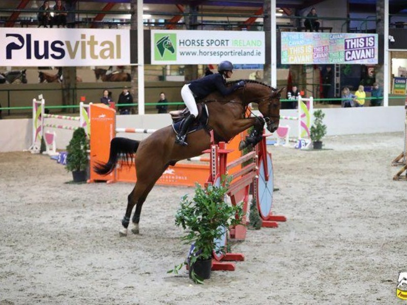 Greenhall Mr Q profile photo