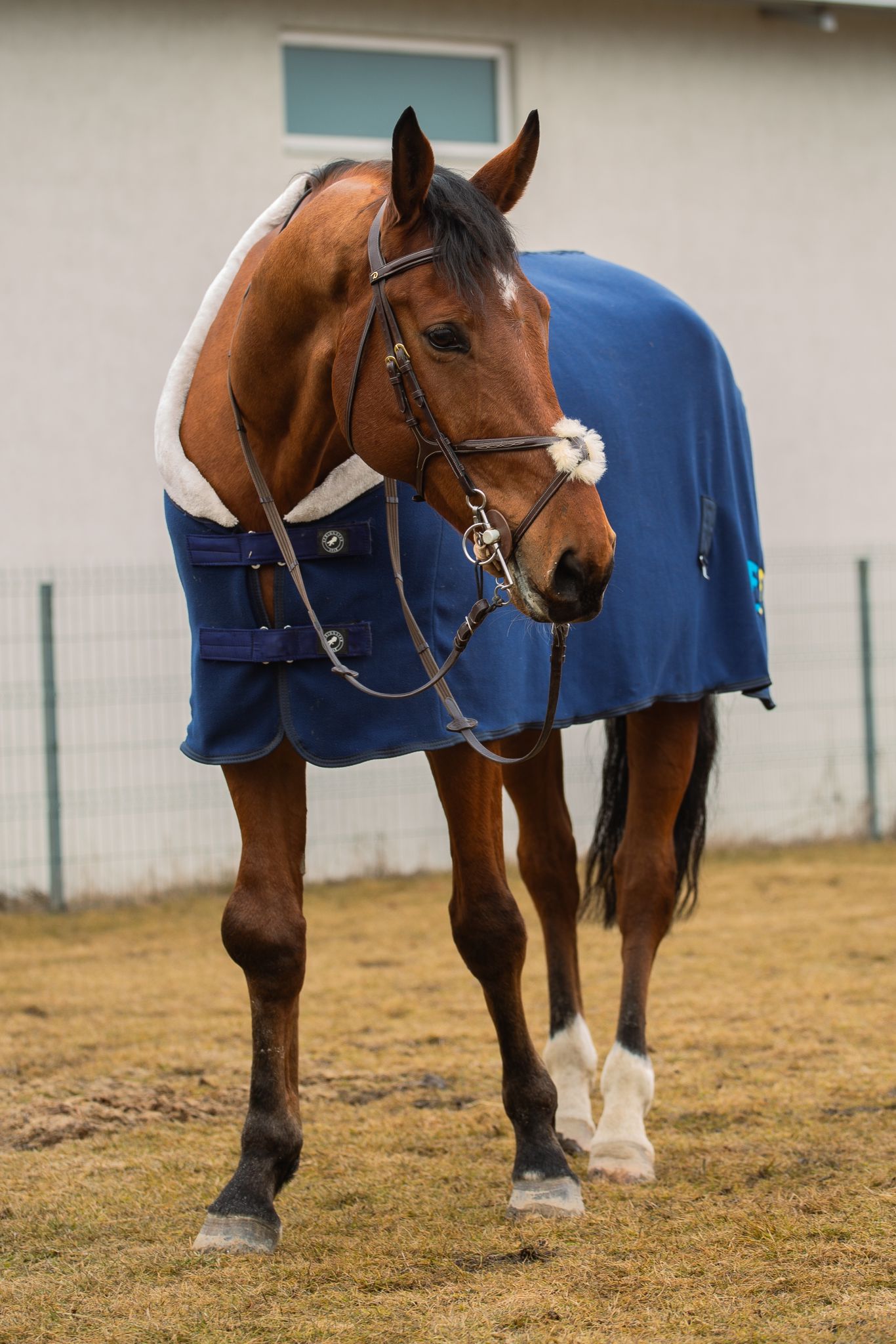 Quadir 7 profile photo 