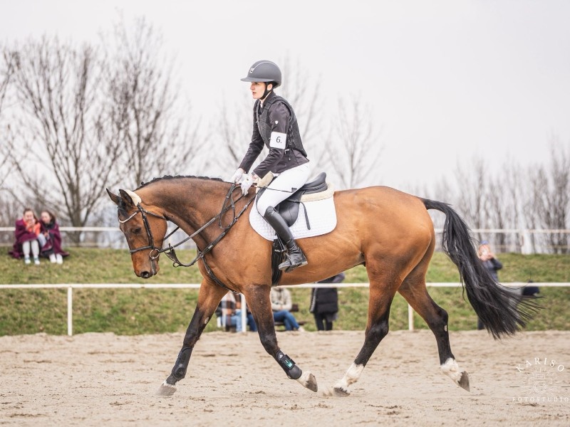 Texas VD Withoeve profile photo