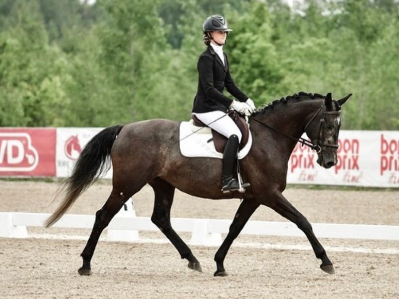 Queen of Drama profile photo 