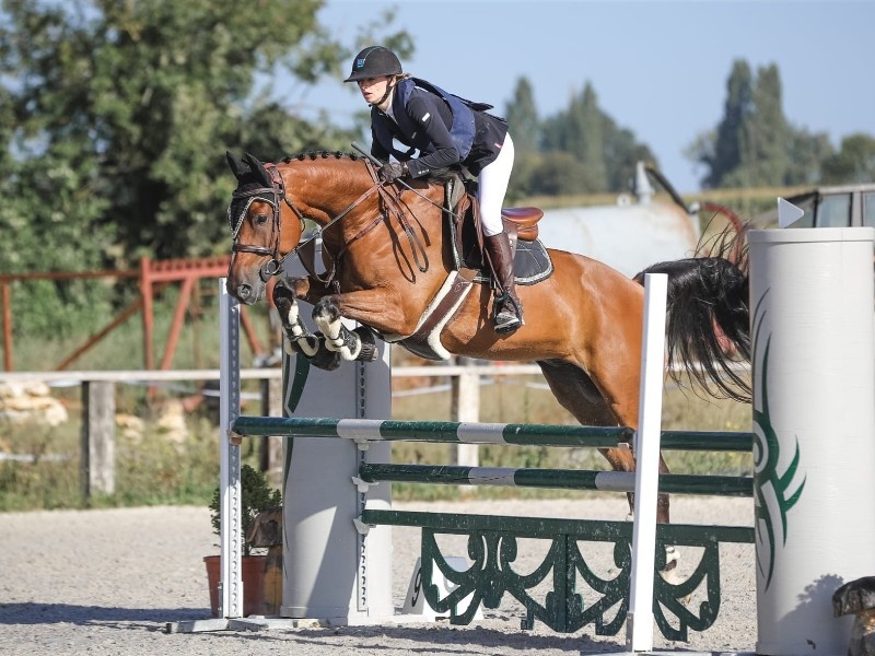 Hagilou L'euro profile photo 