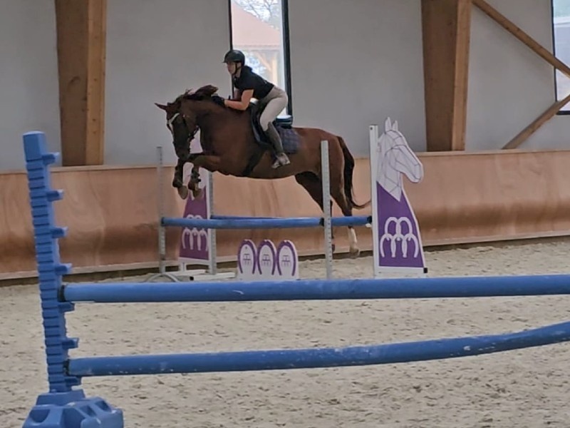 Raven d'Everdeen profile photo 