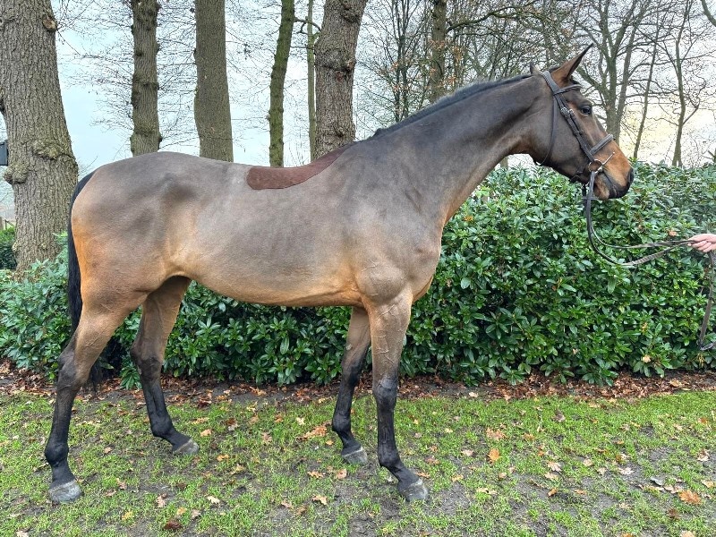 Perdita profile photo