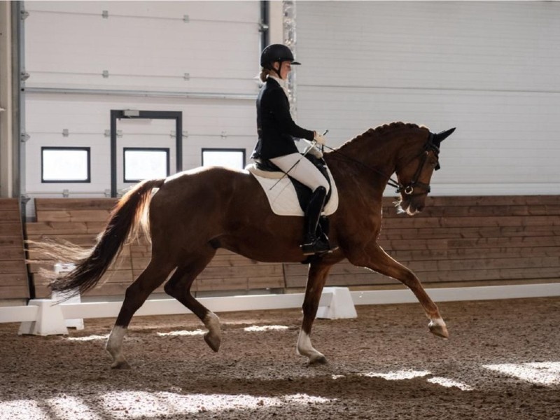 Amazing at Once profile photo 