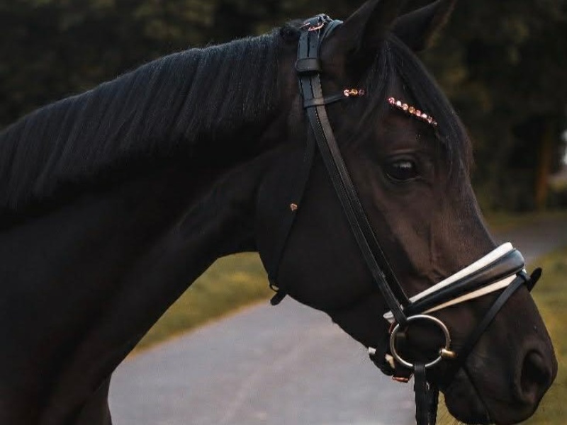 Despacita profile photo