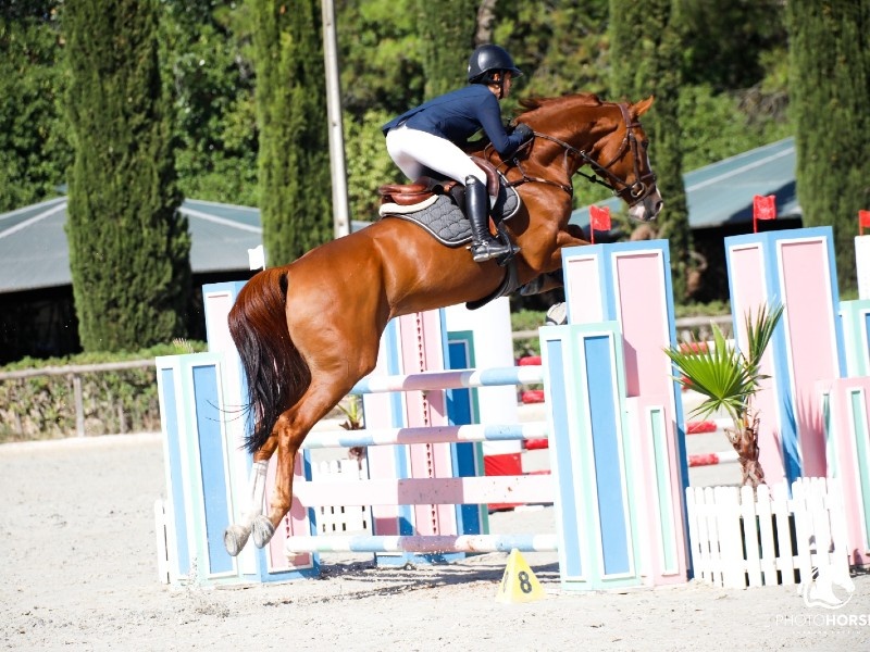 Sunset Gold 3 profile photo