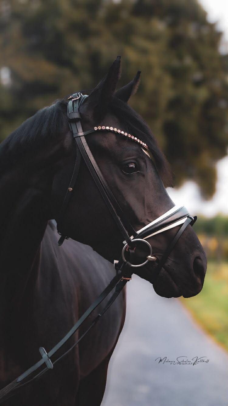 Despacita profile photo 