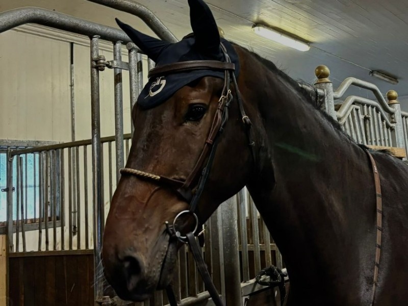 Domaine Fring profile photo 