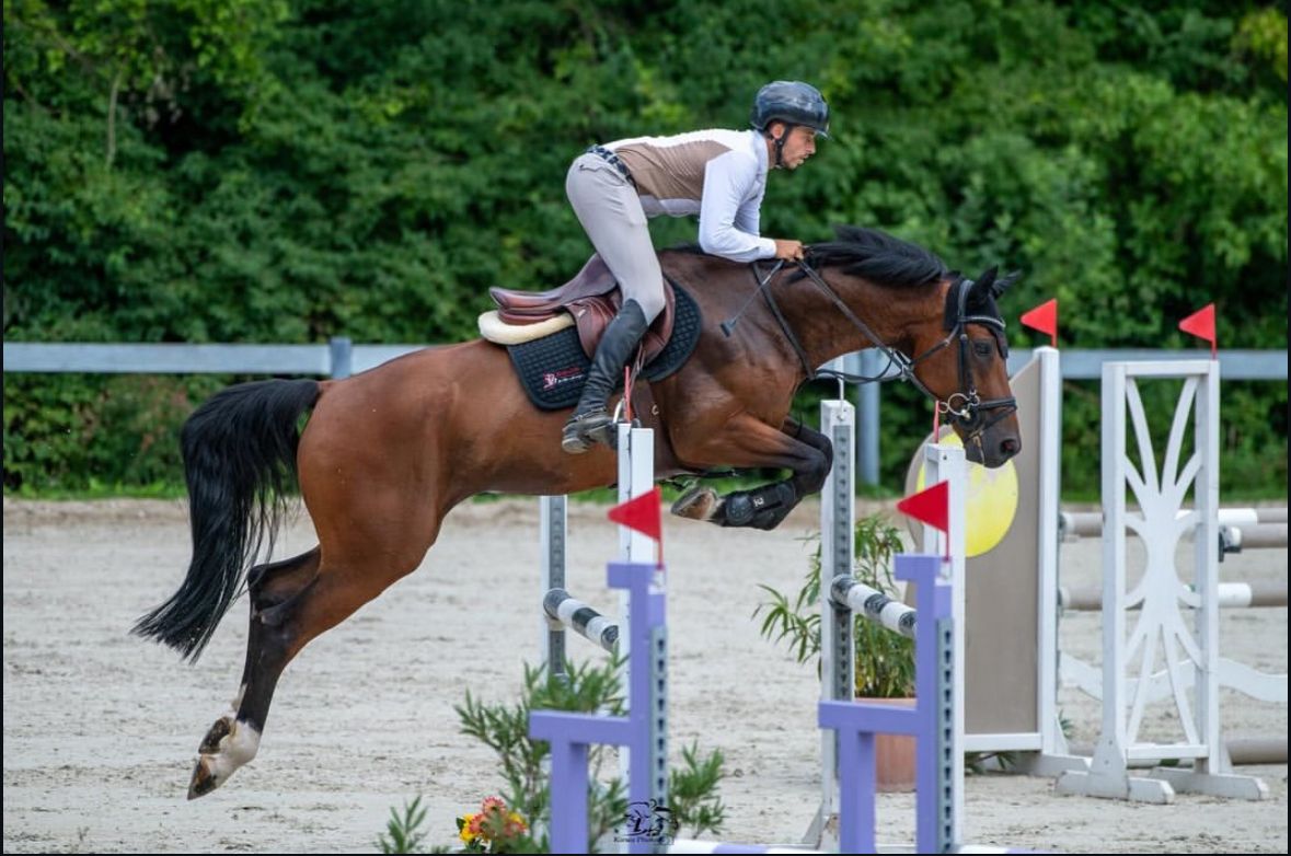 Nothing Else Matters Horse thumbnail