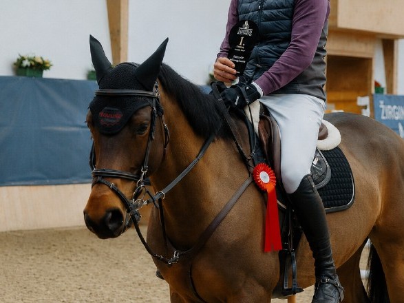 Nothing Else Matters Horse thumbnail
