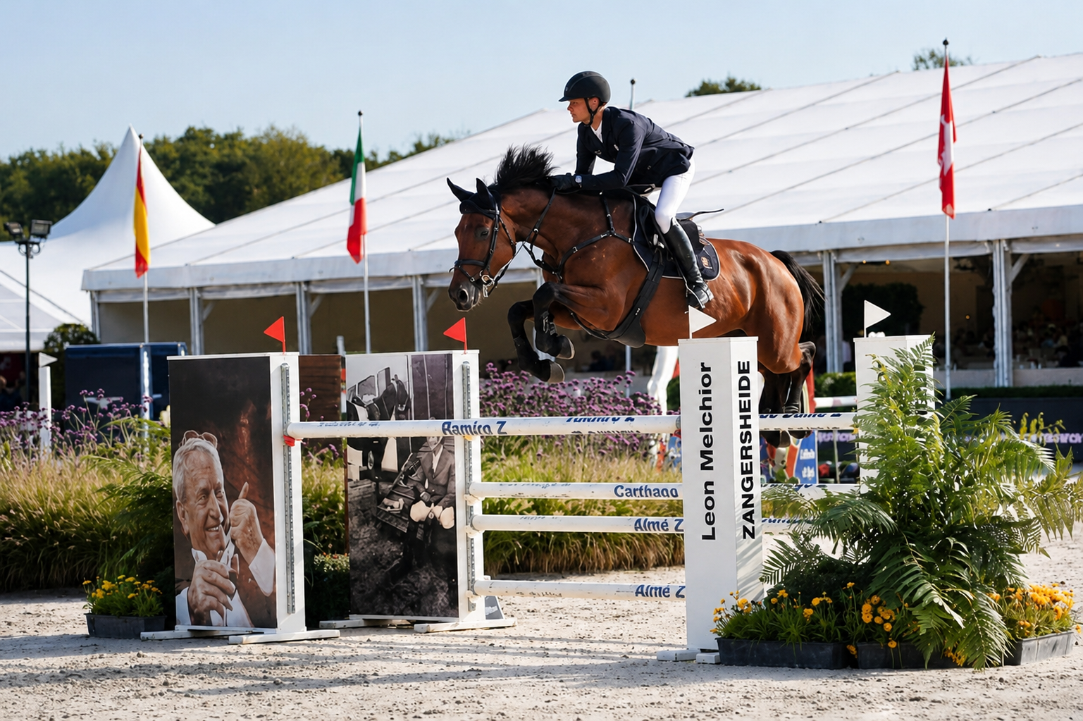 Cher FJ Horse thumbnail