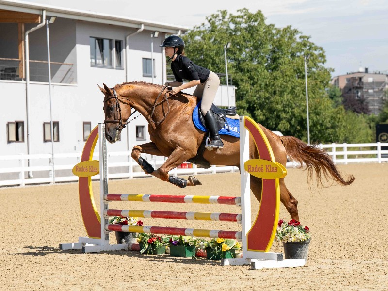 Giusto D'oro Z Horse thumbnail