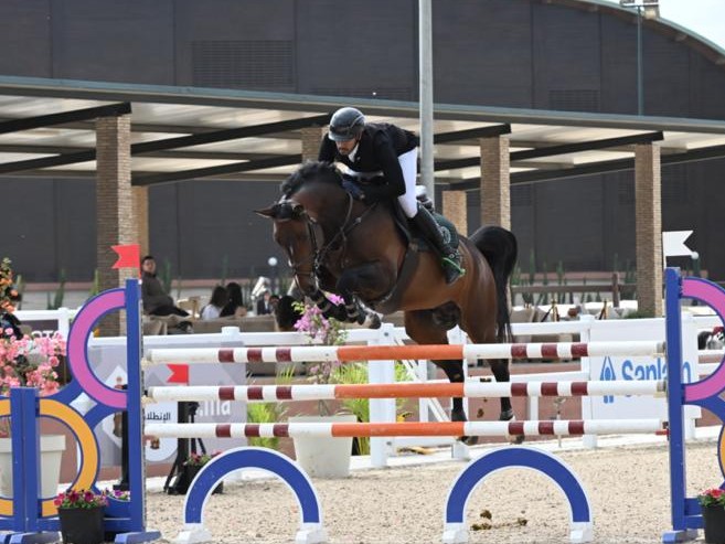 Junior De Fetan Horse thumbnail